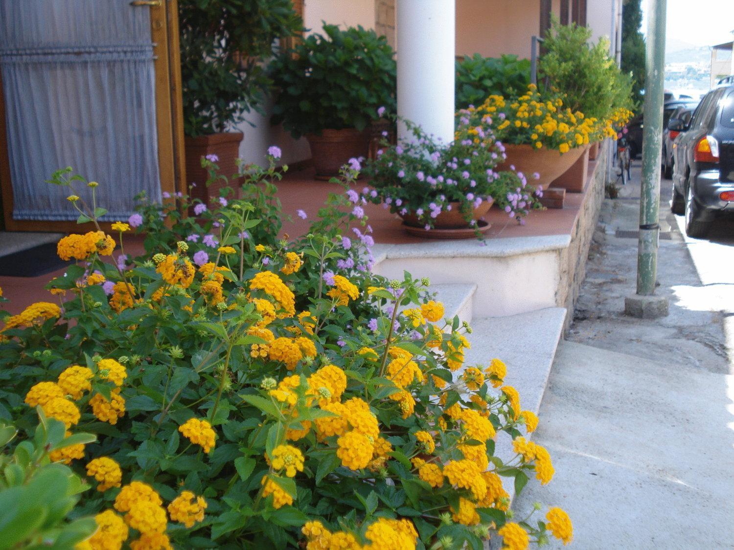 Hotel La Lampara Golfo Aranci Exterior foto